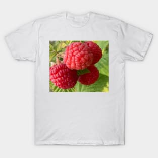 Closeup Red Raspberry T-Shirt